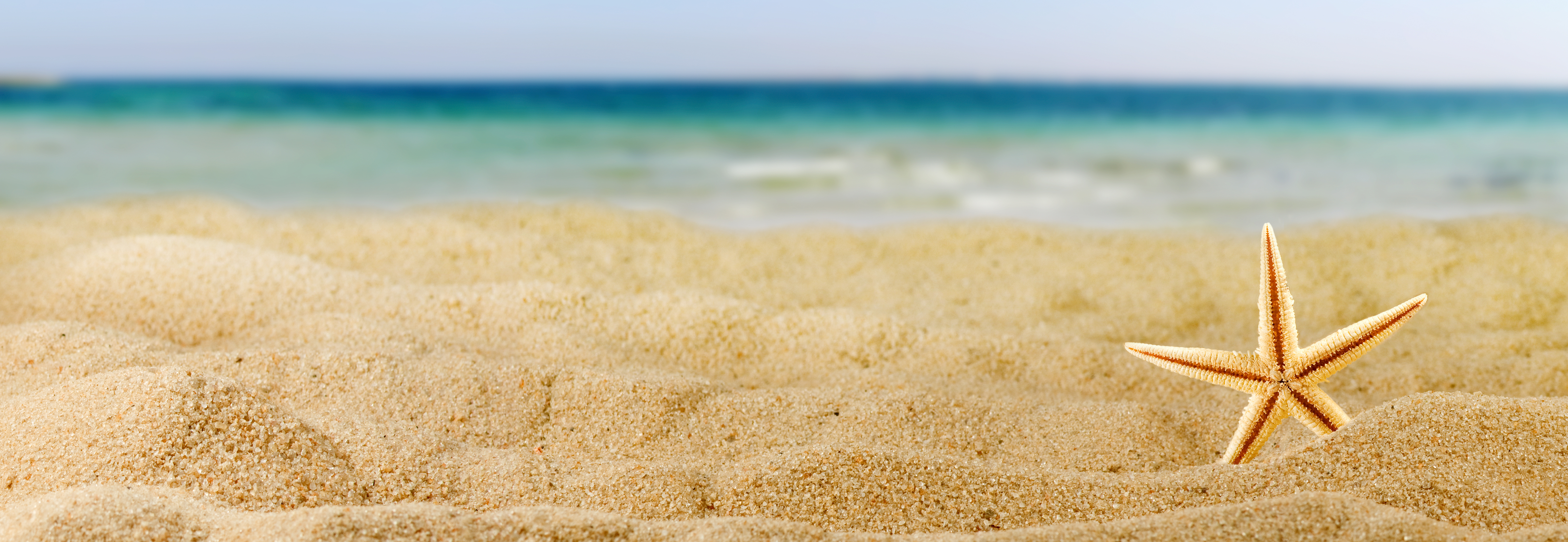 Frühjahr und Sommer